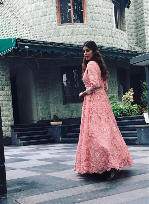 Rose pink heavy dori embroidery gown