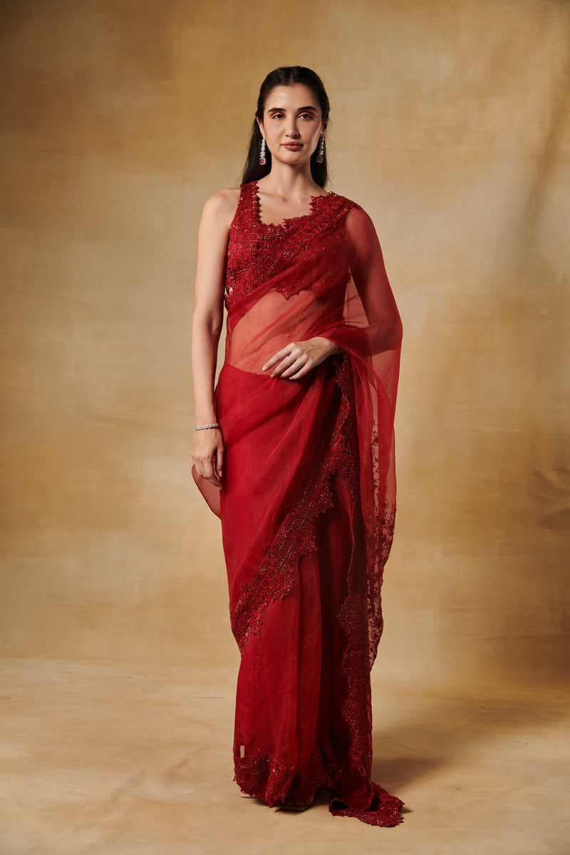 Barn Red Cutdana heavy embroidery saree in Silk organza with cutdana embroidery blouse