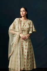 Green Sharara Suit