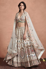 Ivory And Gold Embroidered Dupatta