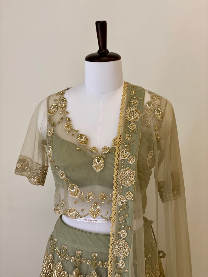 Earl Green fine threadwork Lehenga